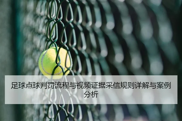 足球点球判罚流程与视频证据采信规则详解与案例分析